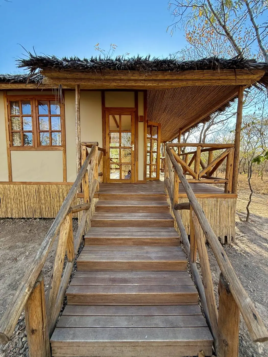 Jungle Cabin at Camp Lilac with its thatched roof and wooden stairs, set among miombo trees