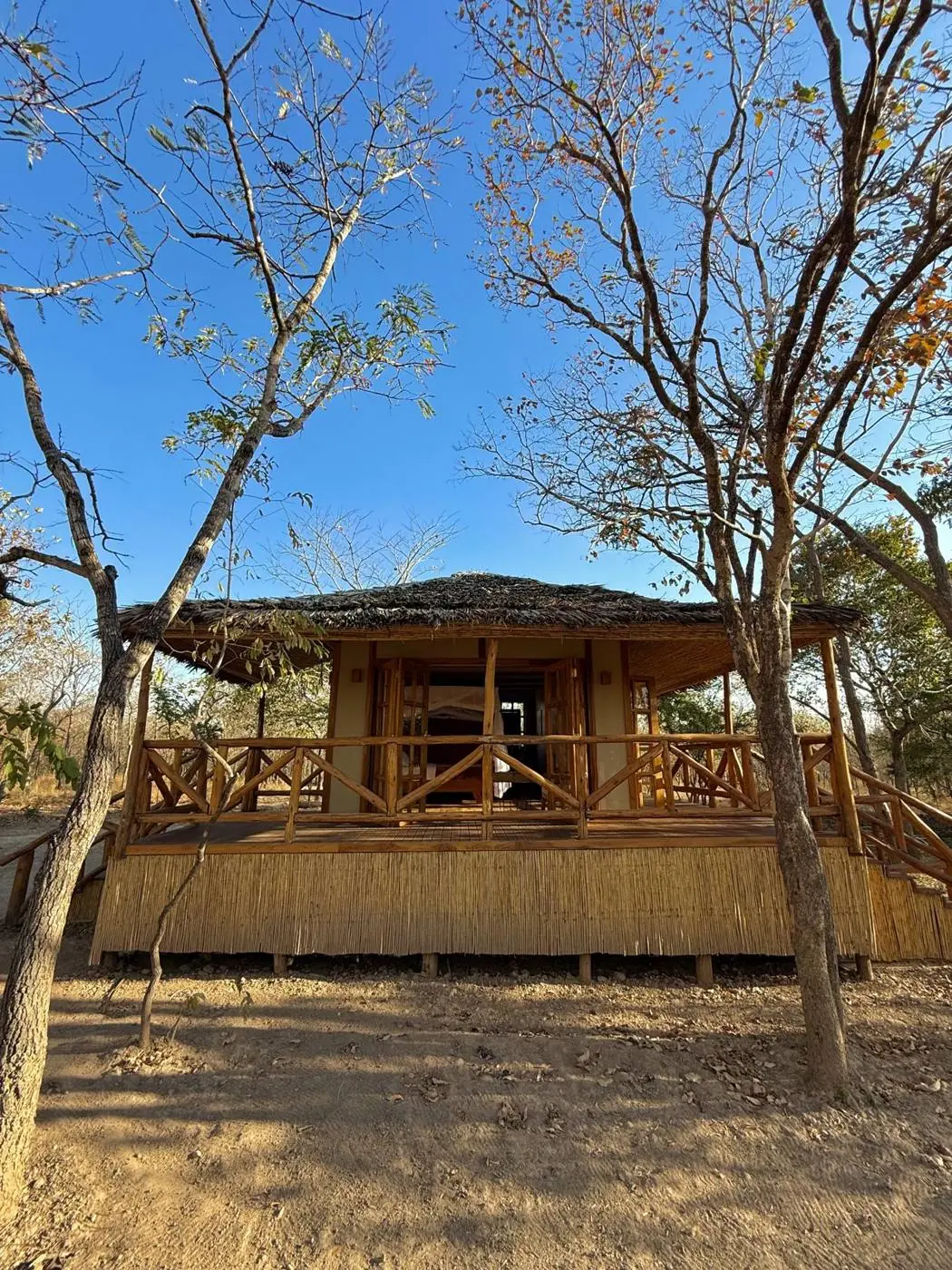 Jungle Cabin at Camp Lilac — photo 7