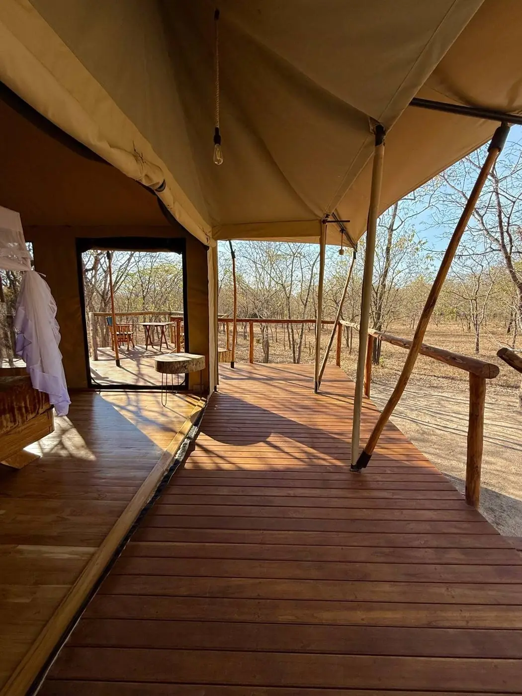 Luxury Jungle Tent at Camp Lilac — photo 6
