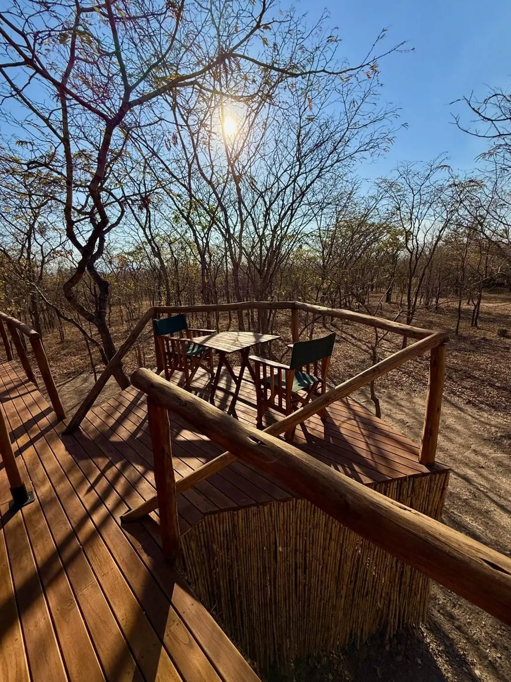 Private deck chairs at a Camp Lilac tent, looking into the Mikumi bush